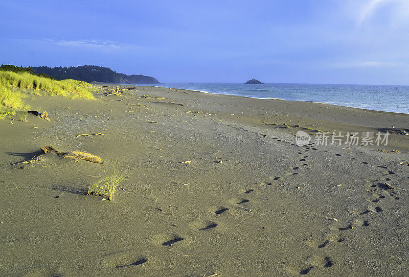 太平洋和俄勒冈海岸/海滩-沙子，冲浪，和茂密的森林